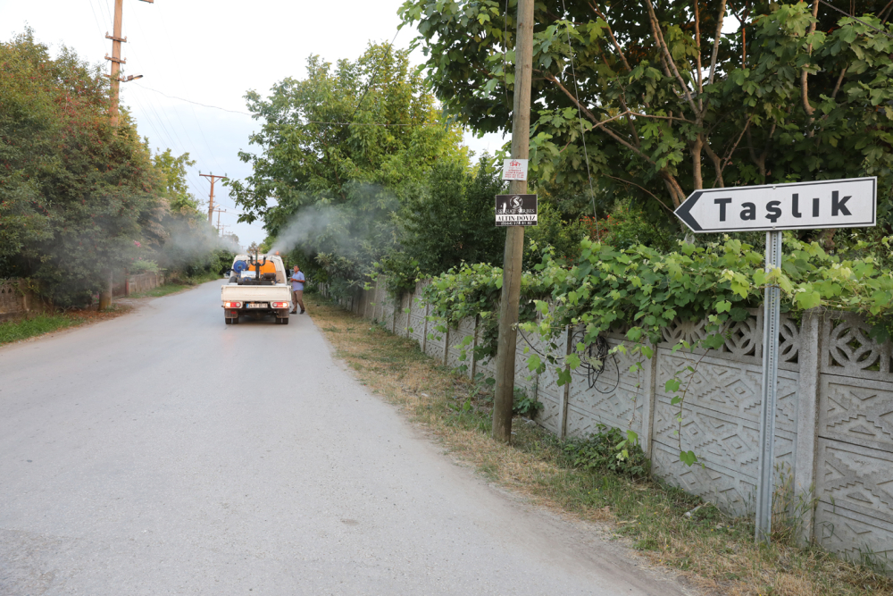 Adapazarı´nda İlaçlama Seferberliği Sürüyor