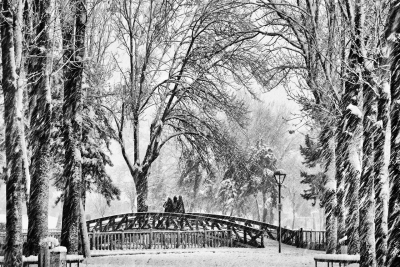 Fotoğraf Yarışması Sonuçları Açıklandı
