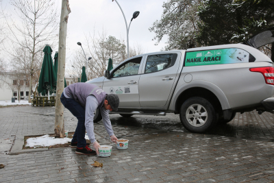Sokak Hayvanlarına Yem Bırakıldı